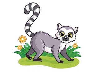 cute-lemur-stands-on-green-260nw-2417618269.jpg